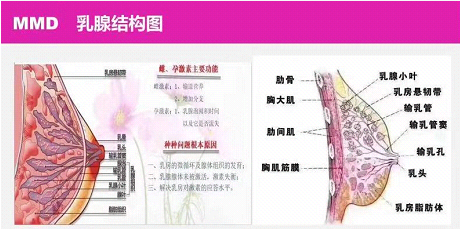QQ图片20181029165352.png